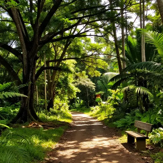 Descubra a Beleza do Bosque Rodrigues Alves