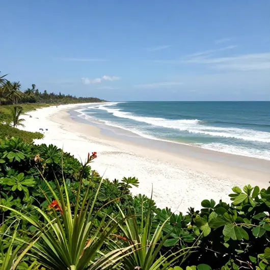 Descubra a Praia da Corvina