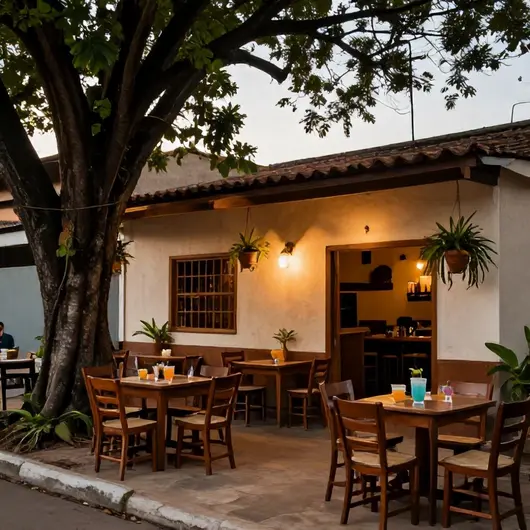 Descubra o BAR Flasica