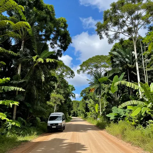 Manaus Jungle Tours Transfer Privado Santarém-Alter do Chão