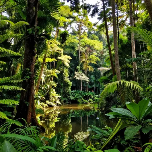 Os 18 melhores parques e trilhas no Pará: um guia imperdível